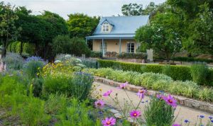 Vineyard Cottages and Cafe - Accommodation Bookings