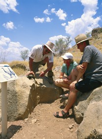 Riversleigh Fossil Fields - Accommodation Bookings