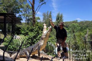 Private Shoalhaven Zoo Experience from Sydney - Accommodation Bookings