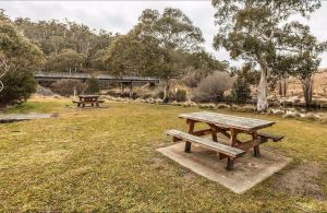 Thredbo River picnic area - Accommodation Bookings