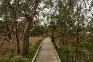 The Briars Park Walking Trails - Accommodation Bookings