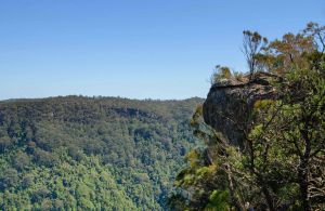 Cooks Nose Walking Track - Accommodation Bookings